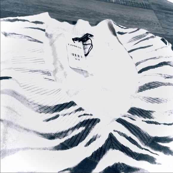 NWT Express Tiger Stripe Sweater - Picture 2 of 4